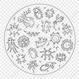 The Circular Coloring Page Of Bacteria Outline Sketch Drawing Vector  sketch template