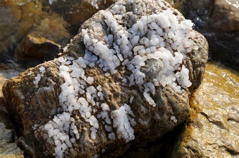 Salt crystals (2) | Dead Sea | Pictures | Jordan in Global-Geography