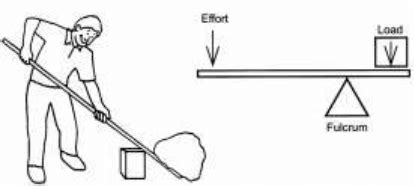 First Class Lever Diagram