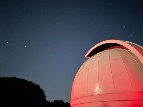 Stargazing at Brazos Bend State Park - The Bucket List Latina