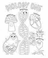 Printable Biology Coloring Pages Free For Kids And Adults sketch template