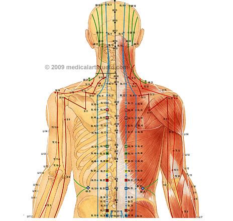 Acupuncture FAQ | Dr. Wayne's Practice