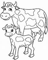 25 Free Cow Coloring Pages For Kids And Adults sketch template