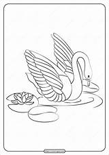 Swan Template Colouring Pages Sketch Coloring Page sketch template