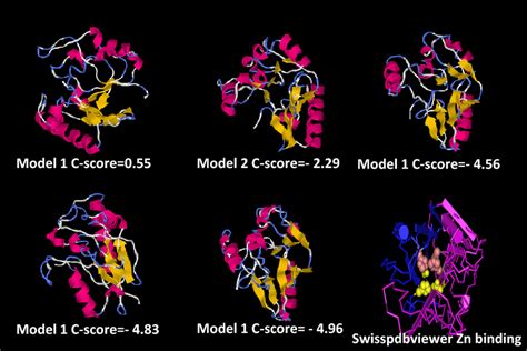 I-TASSER was used to deduce five model and the three dimensional ...