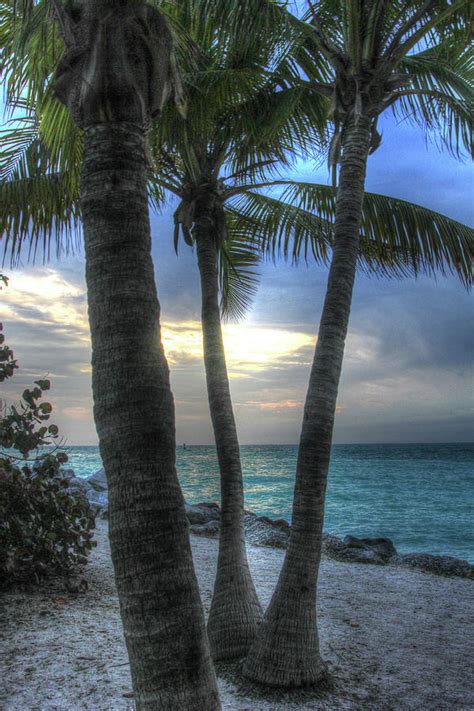 Smathers Beach Sunrise Vertical 2 Photograph by Robert Goldwitz - Fine ...