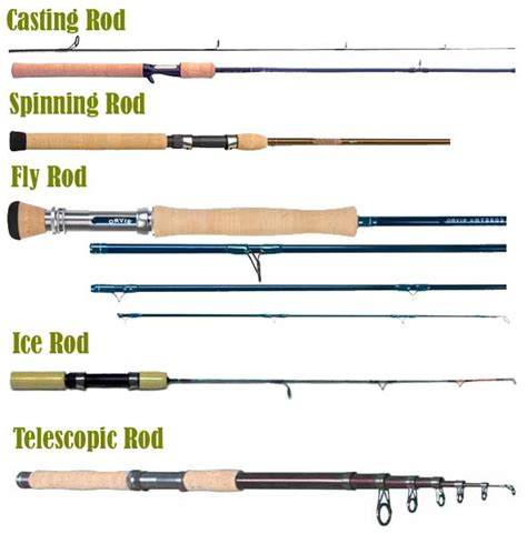 Fishing tools Fishing Rod Types - Techno Metaverse Information