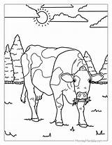 30 Cow Coloring Pages Free PDF Printables sketch template