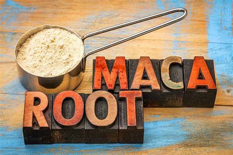 Benefits of Maca Root For Men Are Misleading - Superfoodly