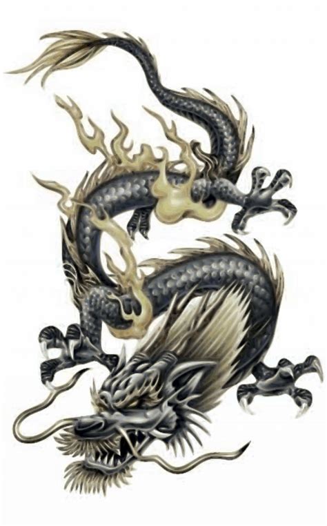 metal dragon tattoo designs - life-cycle-of-a-star-poster-project