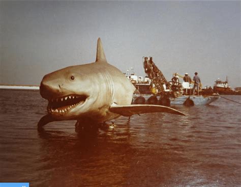 Nearly 200 Never Before Seen 'Jaws 2' Behind the Scenes Photos Just ...