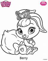 Berry  Snow Whites Pet Animal coloring Pages Disney Princess pets sketch template