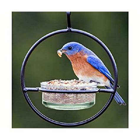 MEALWORM FEEDER 7" - Walmart.com - Walmart.com