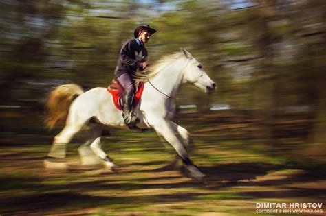 Horse And Rider Portrait Photography Racing Horse Horses Iii Race Running Riding Jockey Motion ...