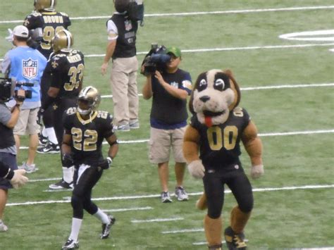 Gumbo (New Orleans Saints) | SportsMascots Wikia | FANDOM powered by Wikia