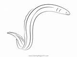 Electric Eel Coloring Pages Printable sketch template