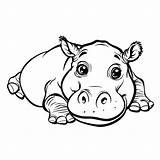 Premium Vector  A Cute cartoon baby hippo Is Lying coloring Pages sketch template