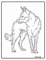 Wolf Coloring Pages Free PDF Printables  Simply Love sketch template