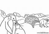 Arctic Tundra Landscape Coloring Pages sketch template