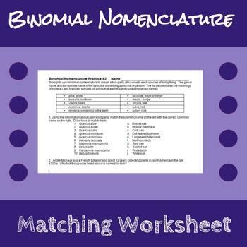 Binomial Nomenclature Worksheet by Erin Frankson | TpT