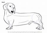 How To Draw A Wiener Dog Easy  Stunning Portraits sketch template
