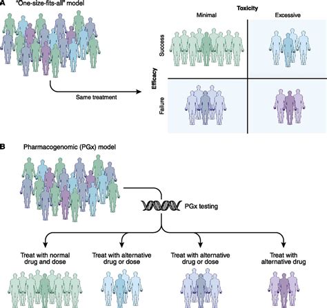 Clinical Pharmacogenomics: Applications in Nephrology : Clinical Journal of the American Society ...