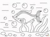 Fish Pattern Coloring Page Free Printable Pages sketch template
