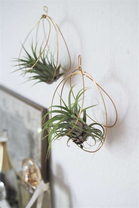 Wire air plant holders by Paulsvera Blog // 75 Fall DIY Ideas via Idle Hands Awake Idle Hands Awake