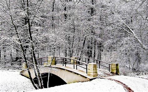 Snowy Bridge, forest, snow, path, ice, river, trees, HD wallpaper | Peakpx