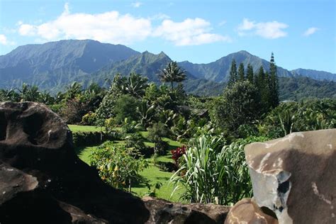 Princeville Botanical Gardens | Kauai Chocolate Garden Tours, HI