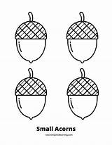 Acorn Coloring Pages sketch template