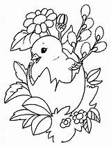 Baby Chick coloring pages sketch template