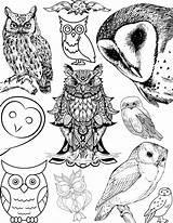 20 Printable Coloring Pages Colouring Pdf Digital Download  Etsy sketch template