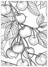 Cherry Coloring Pages  Fun For All Ages – MrColoringCom sketch template