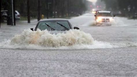 1,700 households in Windsor, Ont., area damaged by flooding from rainstorm