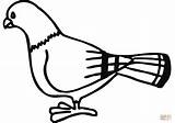Pigeon coloring Page  Free Printable Coloring Pages sketch template
