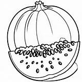 Cantaloupe outline Black And White Cute coloring Book  Premium AI sketch template