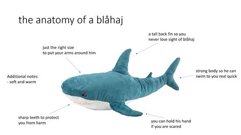 The Anatomy of a Blåhaj : r/BLAHAJ