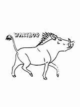Warthog coloring Pages sketch template