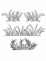 Grass coloring pages sketch template