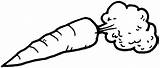 Coloring Pages  Carrot Kids sketch template