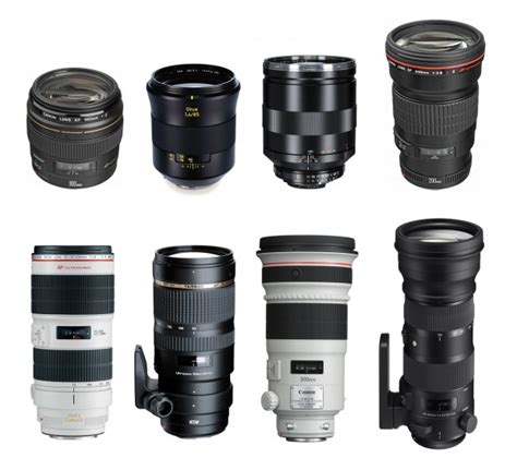 Best Telephoto Lenses for Canon DSLRs in 2023 - Camera Times