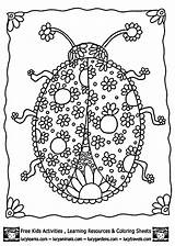 Printable Adult Coloring Pages  Home sketch template