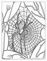 28 Spider Coloring Pages Free PDF Printables sketch template