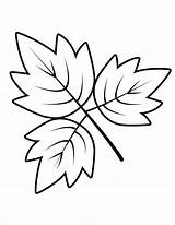 Autumn Leaves Coloring Pages sketch template