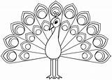Beautiful Peacock sketch template