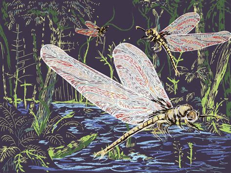 Carboniferous Dragonfly