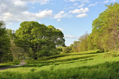 Lush Green Spring Landscape Photograph by Marianne Campolongo