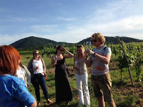 Michael Malat leading the tour - We tasted Grüner from the Gottschelle as we stood on the ...