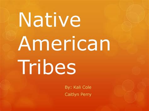 Native American Tribes - ppt download
